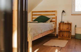 Bujanie w sitowiu - Foto 55