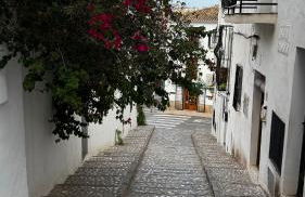 Harmonia De La Mar - Photo 40