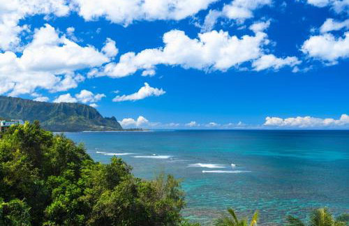 Hanalei Waterfalls House TVNC #5120 - Foto 45