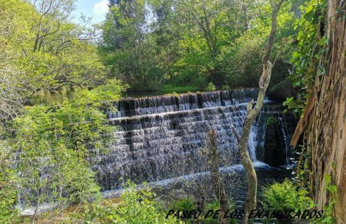 Hermanas Iglesias - Foto 40