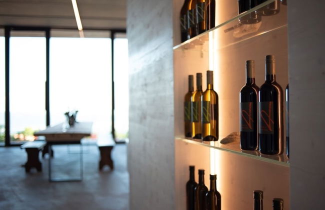 Valdonica Winery & Vineyard Residence - Foto 2