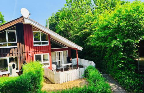 Extertal-Ferienpark - Premium Ferienhaus Sonnental - Sauna #50 - Photo 21