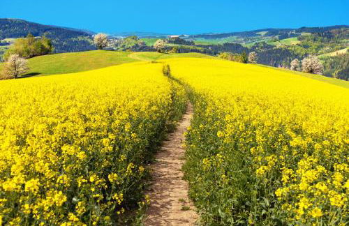 Landhaus im Rinnetal - Foto 107