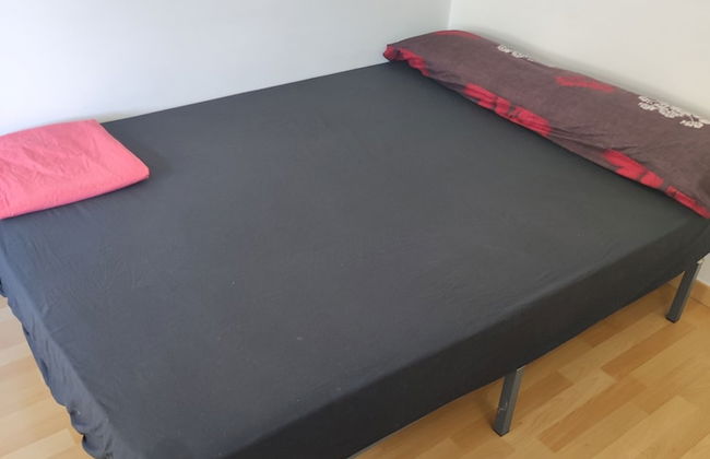 HIDALMEN Arte Rupestre - Photo 6