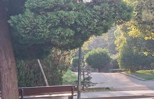 Casa Navarro - Foto 14