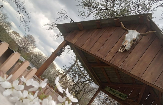 Room in Guest Room - Cozy Rural Retreat in Roşia Montana - Photo 65