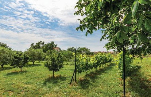 Kuća za odmor Dule - Foto 20