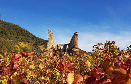 Ferienhaus Calmont - Foto 22