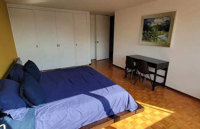 Socrates 378 - Foto 21