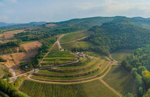 Foresteria Castello di Verrazzano - Foto 11