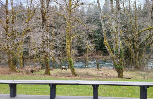 A Relaxing Getaway-A Backwoods Cabin SolDuc River - Foto 11