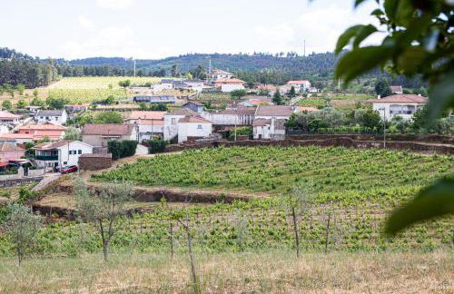 Quinta da Eira Douro Valley - Foto 42