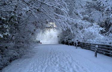 Ty Mawr, The Old School Holiday Homes - Pet Friendly - Foto 51