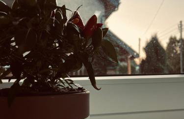 Apartament Pod Śnieżką Nadzieja - Foto 45