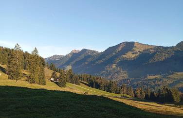 Ferienwohnung-Panoramablick - Foto 17