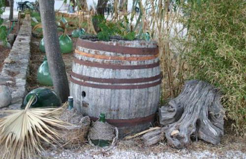 Macchia Salentina - Foto 76