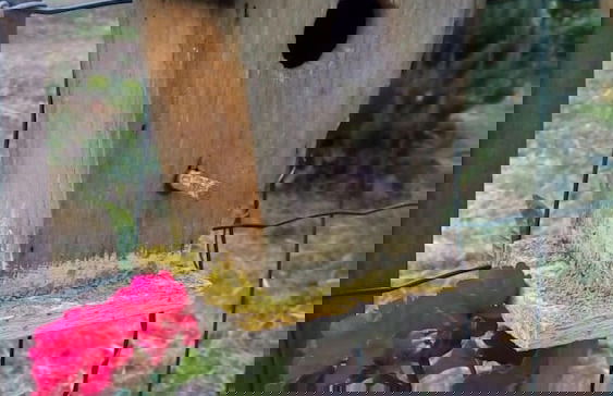 Agriturismo Sa Tanca - Photo 33