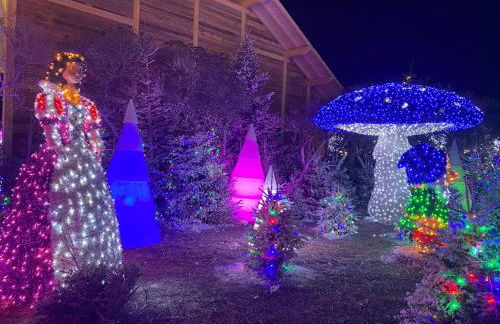 Charmante maison à Le Barcarès - Foto 19