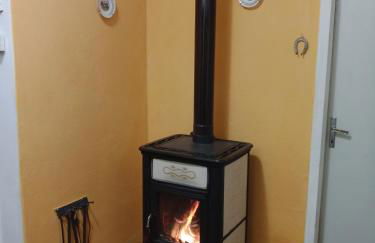 Gli Aristogatti - Foto 19