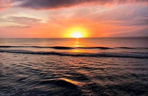 Sea Oats #303 - Foto 53