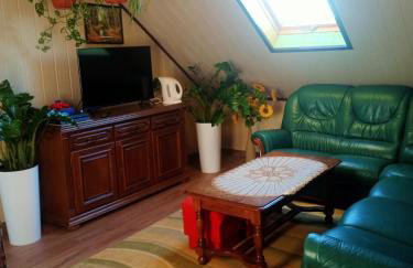 Agroturystyka u Basi śniadanie wliczone w cenie - Foto 12