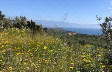 Villa Peony Koroni - Foto 28