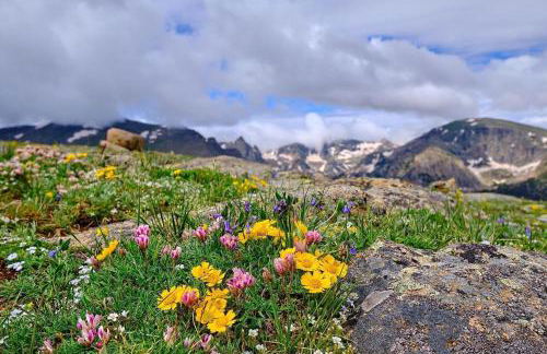 The Broadmeadow Cabin - VR-25-0005 cabin - Photo 54