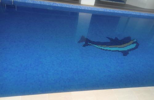 MARINA SOL VIVEIRO - Foto 55