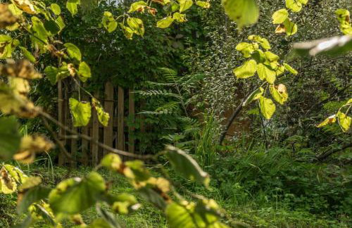 Kałamunka - Foto 24