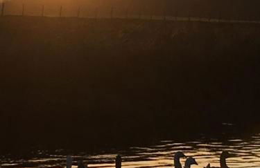 The Mews, Talley - Photo 12