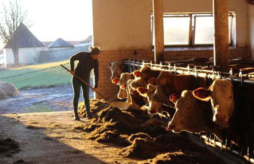 Hofstub´n - Foto 61