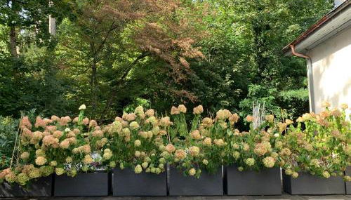 Appartement de luxe plein centre - Foto 2