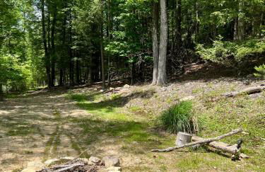 Adventure Cabin with Private Pond Near New River Gorge, Gauley & Summersville Lake - Foto 52