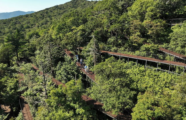 Mona Yongpyong Tower Condominium - Photo 63