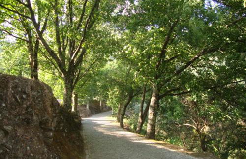 Apartamento Artur - Foto 21