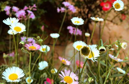 Agriturismo L'isola - Foto 64