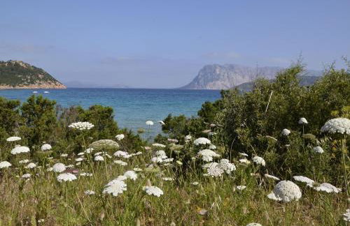 Seaside apartment near Budoni - Foto 20