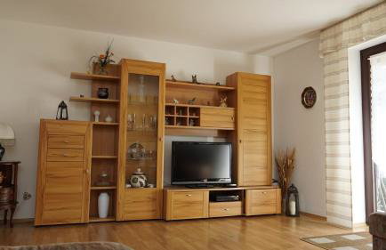 Großzügige Wohnung mit Terrasse und Gartenzugang - das komplette Erdgeschoß - Foto 4