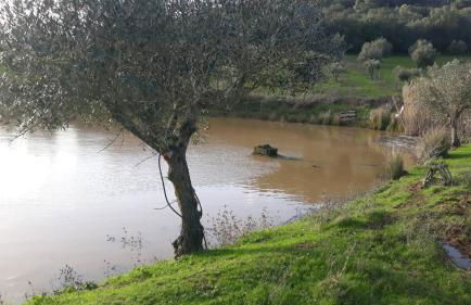 Monte de Stª Margarida - Foto 38