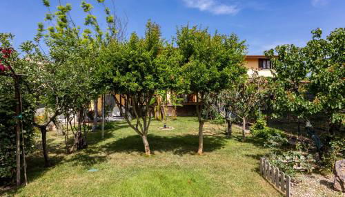 Long Green House - Photo 5, Garden