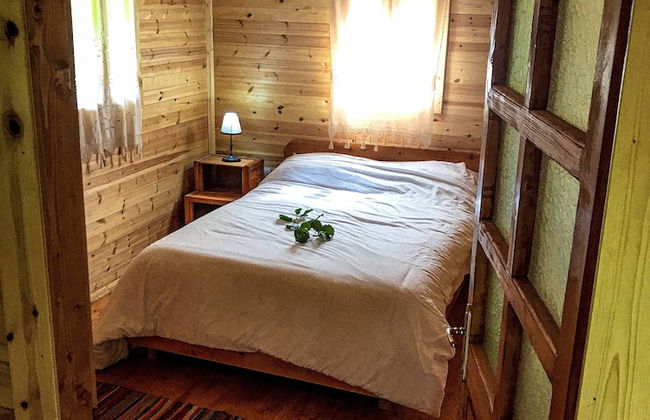 Farma Sotira - Foto 7