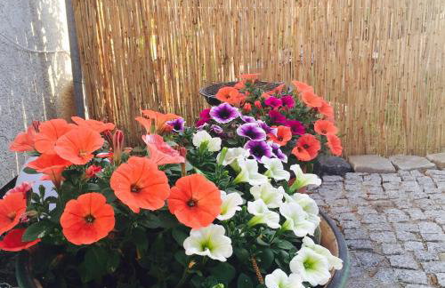 Apartament Arte Povera - Photo 32