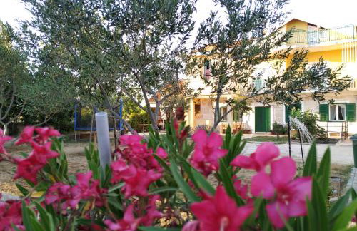 Šimun&Jakov - Foto 60