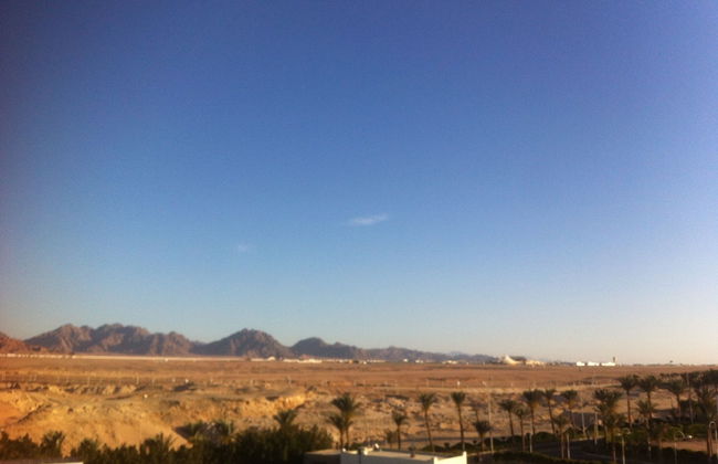 Shark Bay Oasis - Foto 21