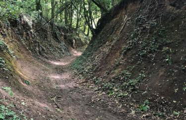Chalet charmant à Clermont-Créans avec piscine partagée - Photo 28