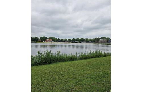 woolly prospects - Foto 12