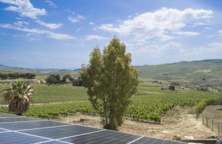 Tenute Nynfà - Foto 4