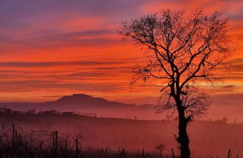 Residenza Rosmarino CASA GUARNONE - Foto 38