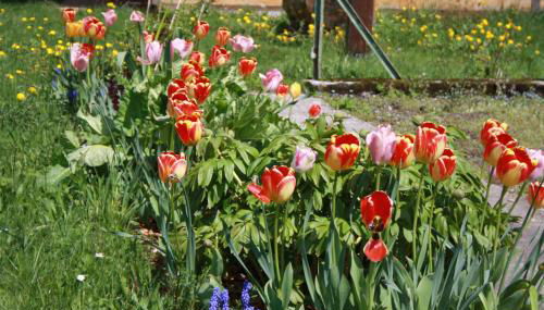 Bürschtehanse-Hof - Foto 5