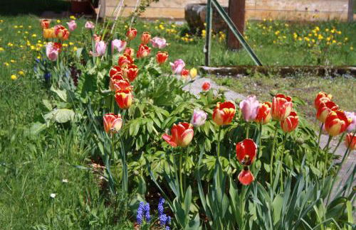 Bürschtehanse-Hof - Foto 5